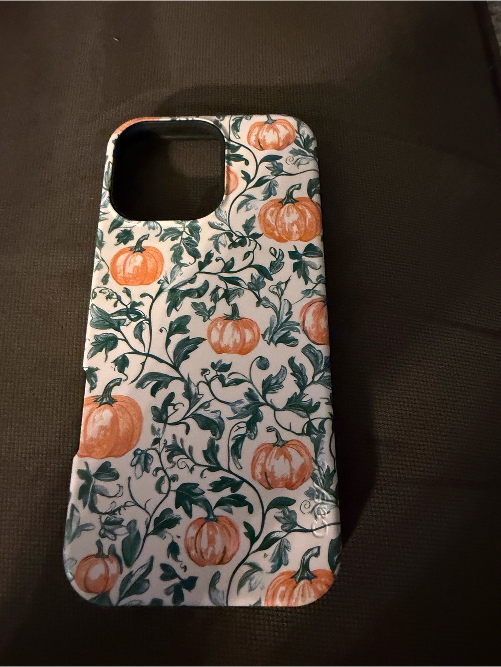 Casely Seasonal Pumpkin Vine Phone Case - Orange & Green